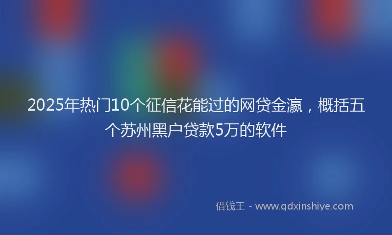 2025年热门10个征信花能过的网贷金瀛，概括五个苏州黑户贷款5万的软件