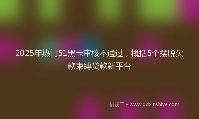 2025年热门51黑卡审核不通过，概括5个摆脱欠款束缚贷款新平台