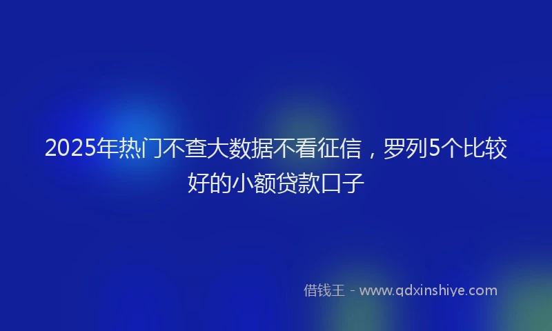 2025年热门不查大数据不看征信，罗列5个比较好的小额贷款口子