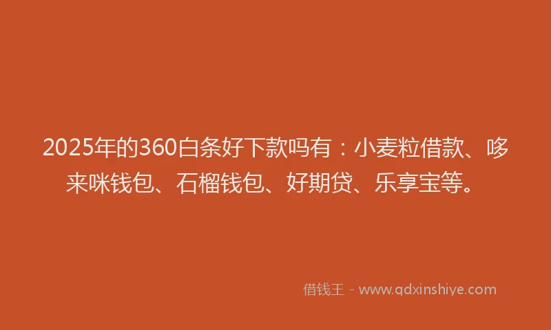2025年的360白条好下款吗有：小麦粒借款、哆来咪钱包、石榴钱包、好期贷、乐享宝等。