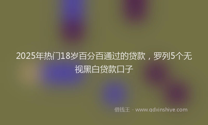 2025年热门18岁百分百通过的贷款，罗列5个无视黑白贷款口子