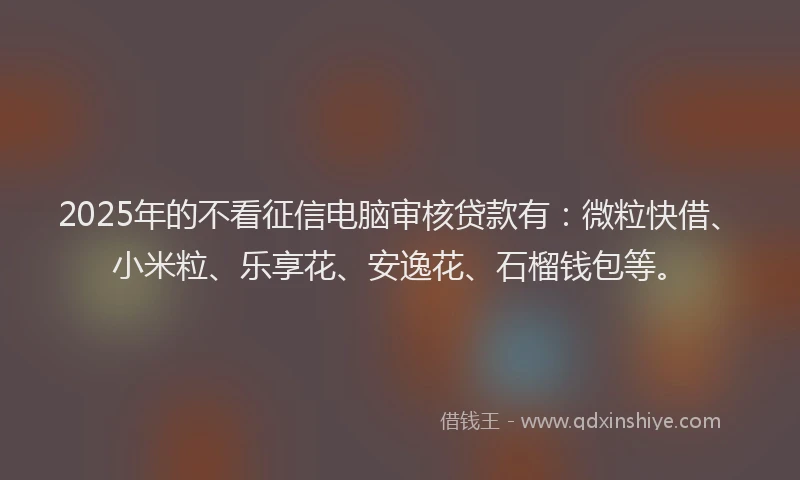 2025年的不看征信电脑审核贷款有：微粒快借、小米粒、乐享花、安逸花、石榴钱包等。