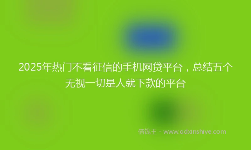 2025年热门不看征信的手机网贷平台，总结五个无视一切是人就下款的平台