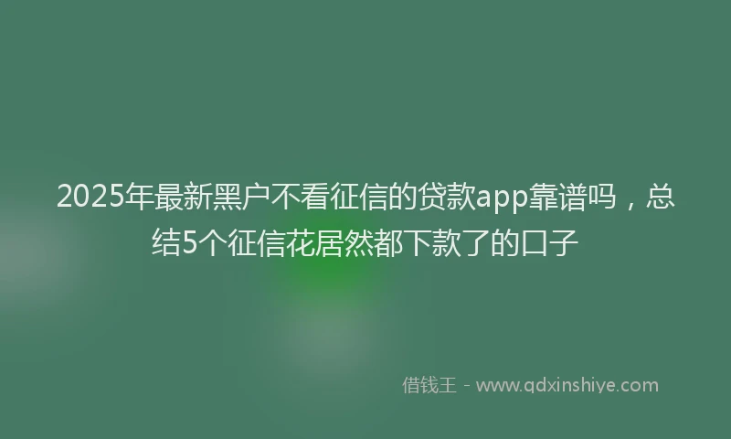 2025年最新黑户不看征信的贷款app靠谱吗，总结5个征信花居然都下款了的口子