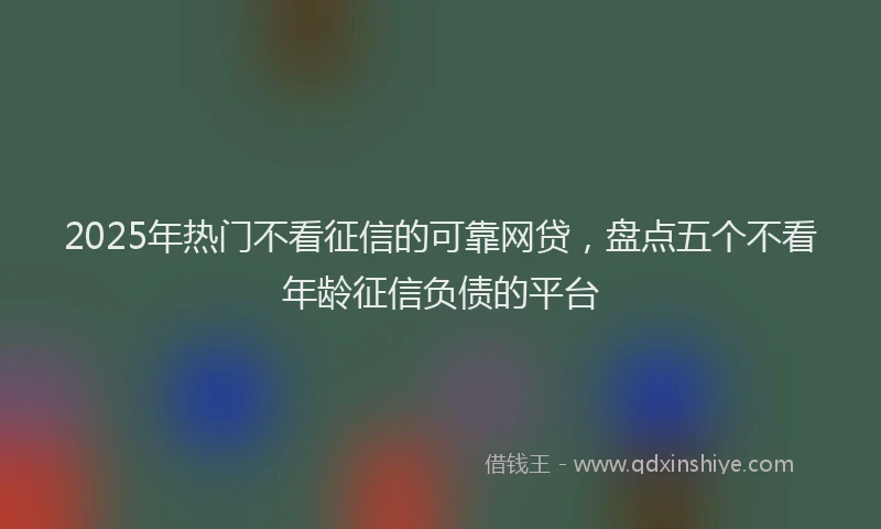 2025年热门不看征信的可靠网贷，盘点五个不看年龄征信负债的平台