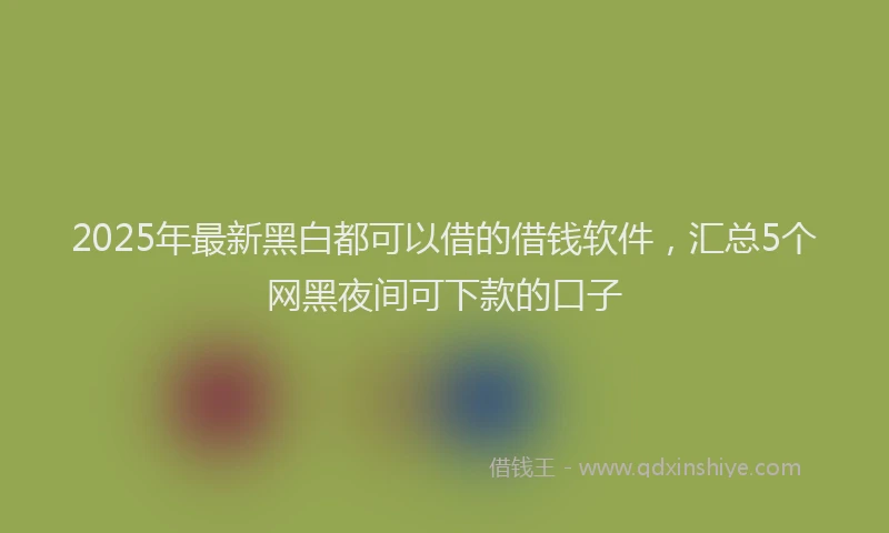 2025年最新黑白都可以借的借钱软件，汇总5个网黑夜间可下款的口子
