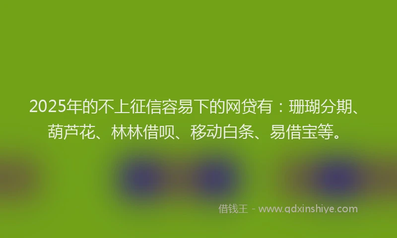 2025年的不上征信容易下的网贷有：珊瑚分期、葫芦花、林林借呗、移动白条、易借宝等。