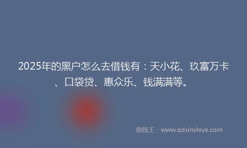 2025年的黑户怎么去借钱有：天小花、玖富万卡、口袋贷、惠众乐、钱满满等。