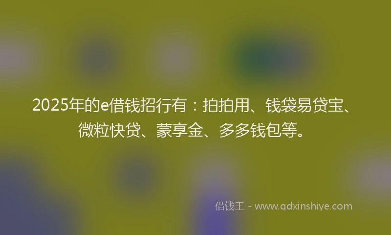 2025年的e借钱招行有：拍拍用、钱袋易贷宝、微粒快贷、蒙享金、多多钱包等。