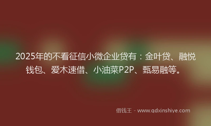 2025年的不看征信小微企业贷有：金叶贷、融悦钱包、爱木速借、小油菜P2P、甄易融等。