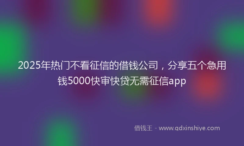 2025年热门不看征信的借钱公司，分享五个急用钱5000快审快贷无需征信app