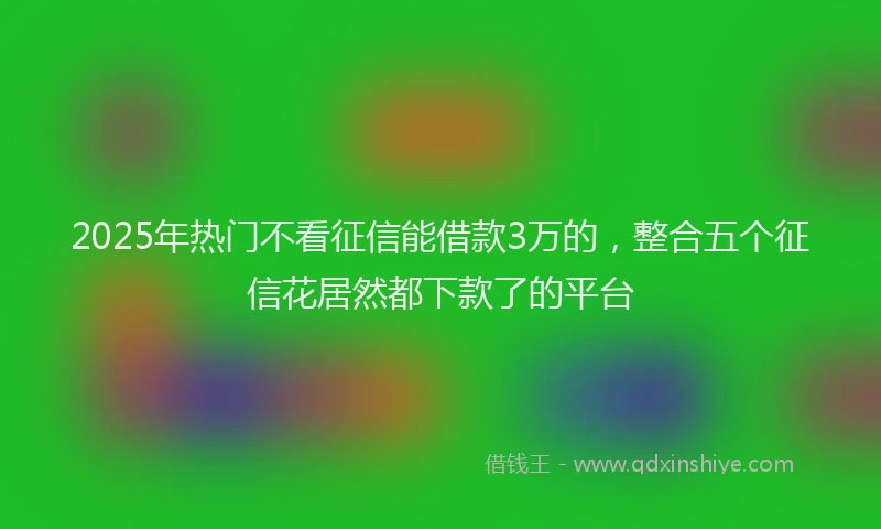 2025年热门不看征信能借款3万的，整合五个征信花居然都下款了的平台