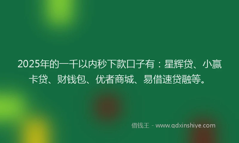2025年的一千以内秒下款口子有：星辉贷、小赢卡贷、财钱包、优者商城、易借速贷融等。