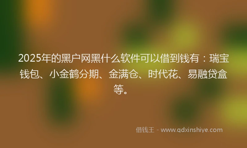 2025年的黑户网黑什么软件可以借到钱有：瑞宝钱包、小金鹤分期、金满仓、时代花、易融贷盒等。