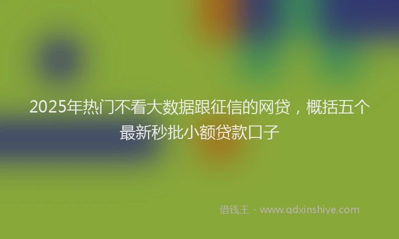 2025年热门不看大数据跟征信的网贷，概括五个最新秒批小额贷款口子