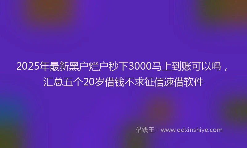 2025年最新黑户烂户秒下3000马上到账可以吗，汇总五个20岁借钱不求征信速借软件