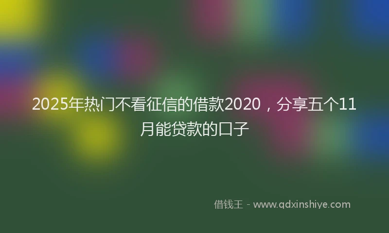 2025年热门不看征信的借款2020，分享五个11月能贷款的口子