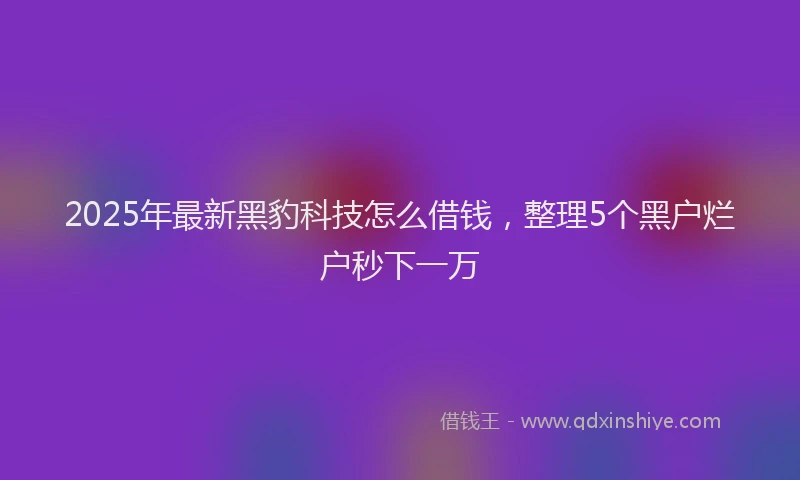 2025年最新黑豹科技怎么借钱，整理5个黑户烂户秒下一万