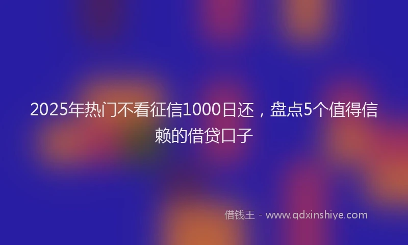 2025年热门不看征信1000日还，盘点5个值得信赖的借贷口子