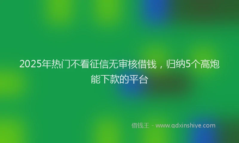 2025年热门不看征信无审核借钱，归纳5个高炮能下款的平台