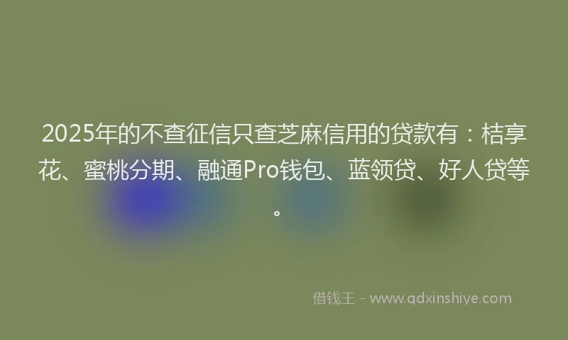 2025年的不查征信只查芝麻信用的贷款有：桔享花、蜜桃分期、融通Pro钱包、蓝领贷、好人贷等。