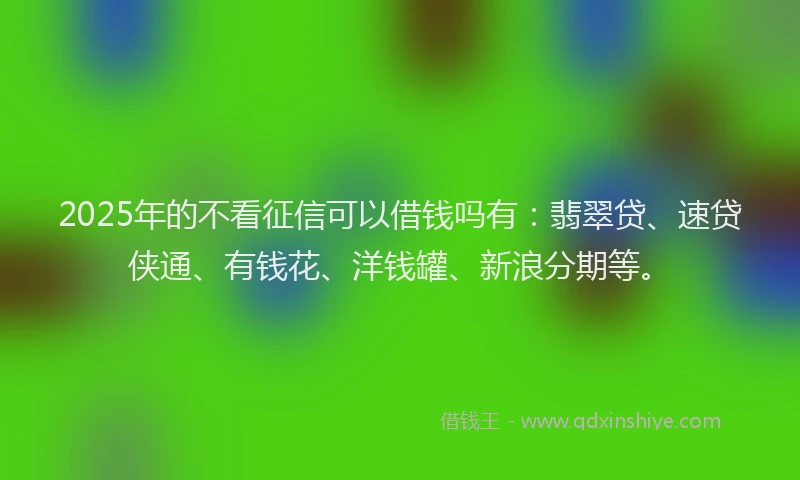 2025年的不看征信可以借钱吗有：翡翠贷、速贷侠通、有钱花、洋钱罐、新浪分期等。