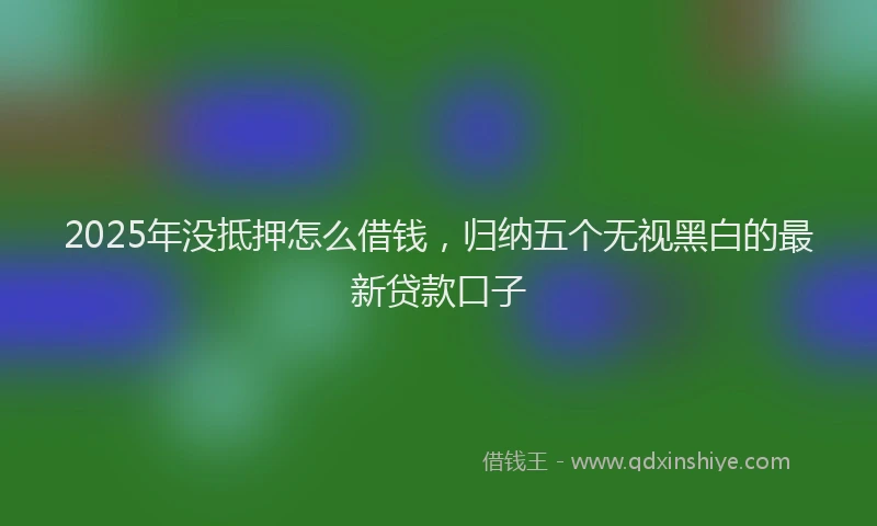 2025年没抵押怎么借钱，归纳五个无视黑白的最新贷款口子