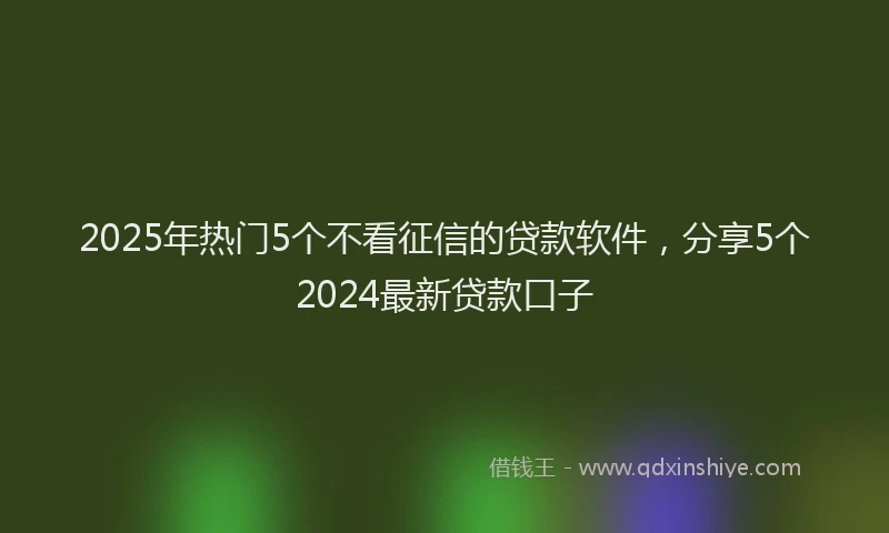 2025年热门5个不看征信的贷款软件，分享5个2024最新贷款口子