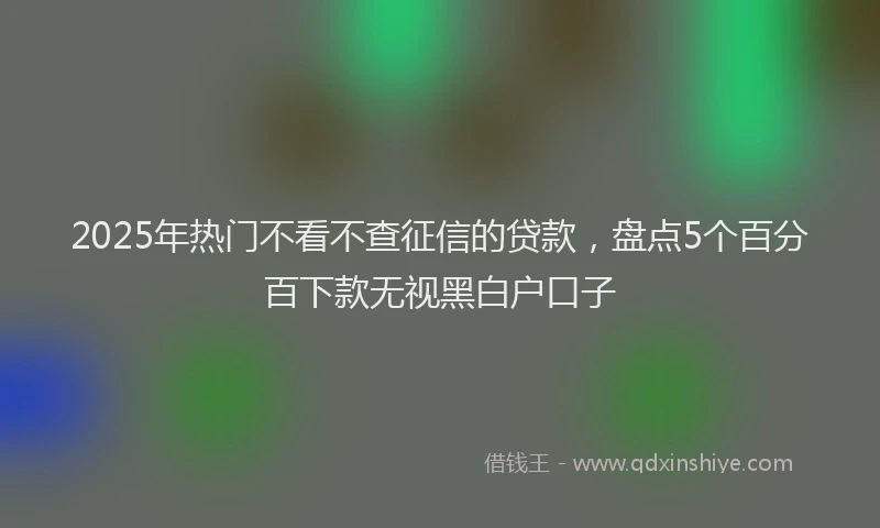 2025年热门不看不查征信的贷款，盘点5个百分百下款无视黑白户口子