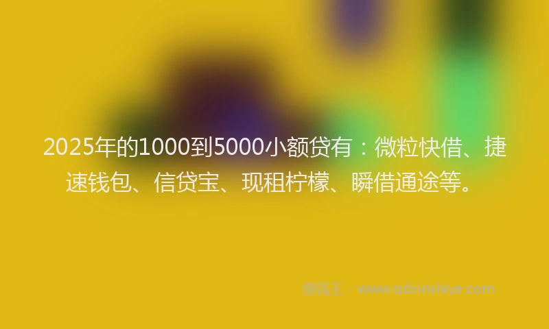 2025年的1000到5000小额贷有：微粒快借、捷速钱包、信贷宝、现租柠檬、瞬借通途等。