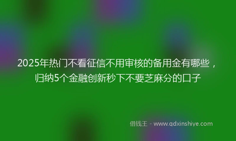 2025年热门不看征信不用审核的备用金有哪些，归纳5个金融创新秒下不要芝麻分的口子