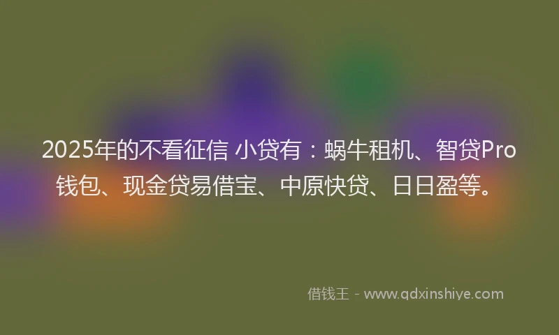2025年的不看征信 小贷有：蜗牛租机、智贷Pro钱包、现金贷易借宝、中原快贷、日日盈等。