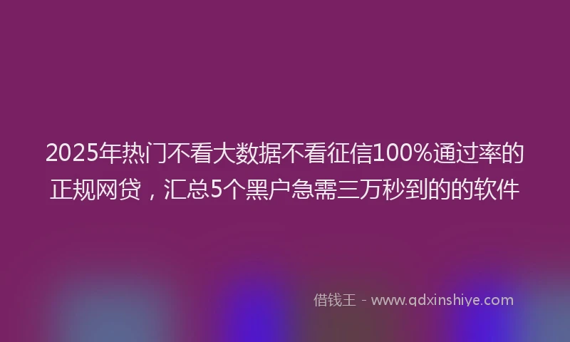 2025年热门不看大数据不看征信100%通过率的正规网贷，汇总5个黑户急需三万秒到的的软件