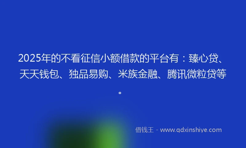 2025年的不看征信小额借款的平台有：臻心贷、天天钱包、独品易购、米族金融、腾讯微粒贷等。