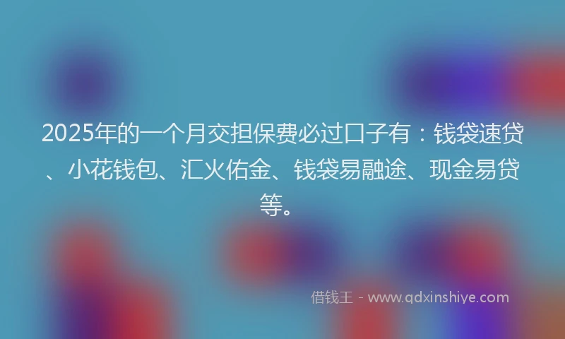 2025年的一个月交担保费必过口子有：钱袋速贷、小花钱包、汇火佑金、钱袋易融途、现金易贷等。
