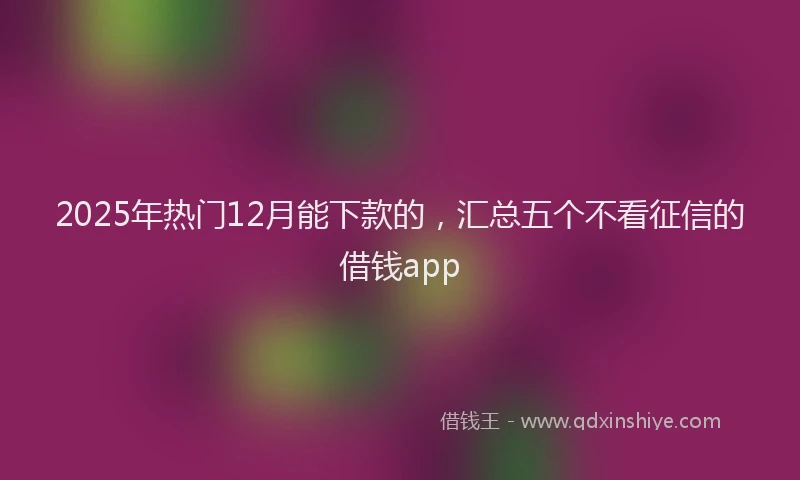 2025年热门12月能下款的，汇总五个不看征信的借钱app