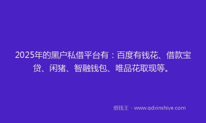 2025年的黑户私借平台有：百度有钱花、借款宝贷、闲猪、智融钱包、唯品花取现等。