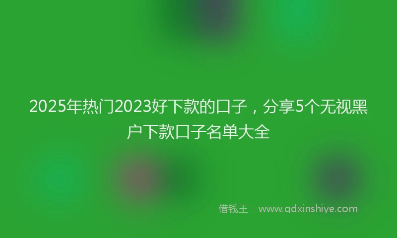 2025年热门2023好下款的口子，分享5个无视黑户下款口子名单大全