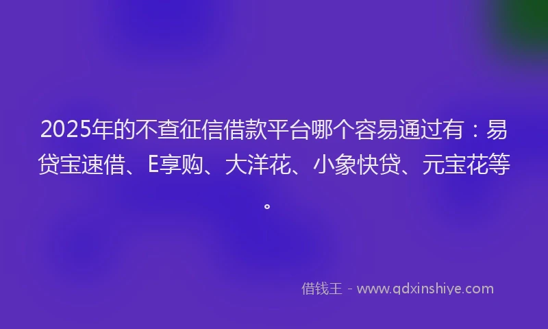 2025年的不查征信借款平台哪个容易通过有：易贷宝速借、E享购、大洋花、小象快贷、元宝花等。