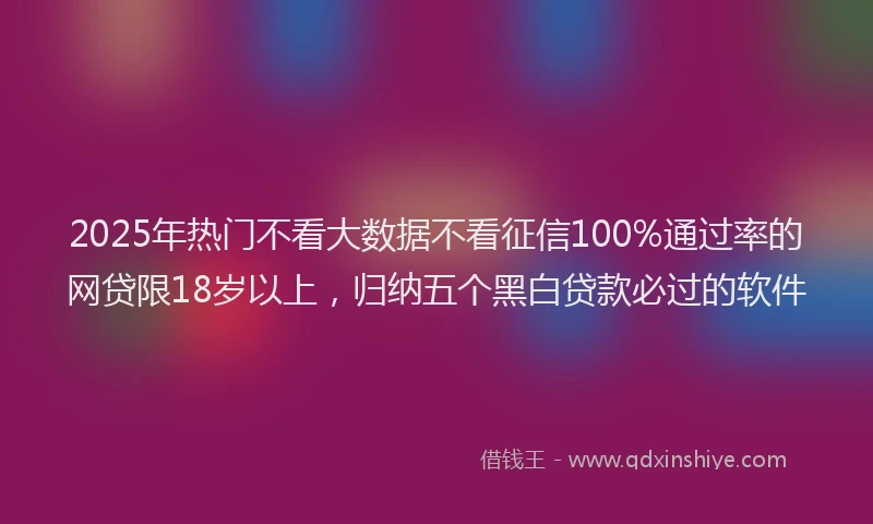 2025年热门不看大数据不看征信100%通过率的网贷限18岁以上，归纳五个黑白贷款必过的软件