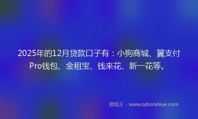 2025年的12月贷款口子有：小狗商城、翼支付Pro钱包、金租宝、钱来花、新一花等。
