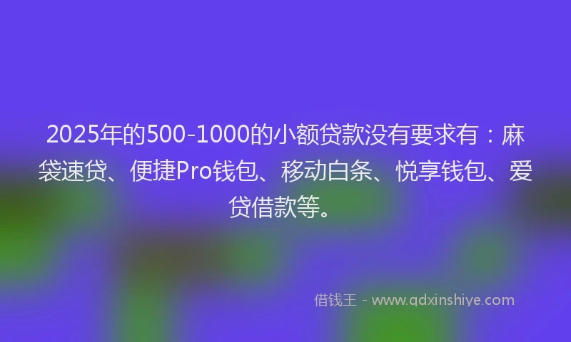 2025年的500-1000的小额贷款没有要求有：麻袋速贷、便捷Pro钱包、移动白条、悦享钱包、爱贷借款等。