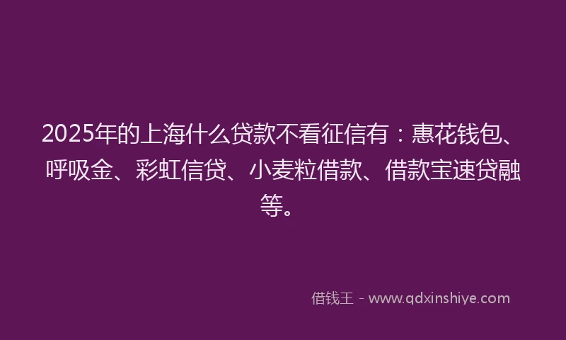 2025年的上海什么贷款不看征信有：惠花钱包、呼吸金、彩虹信贷、小麦粒借款、借款宝速贷融等。