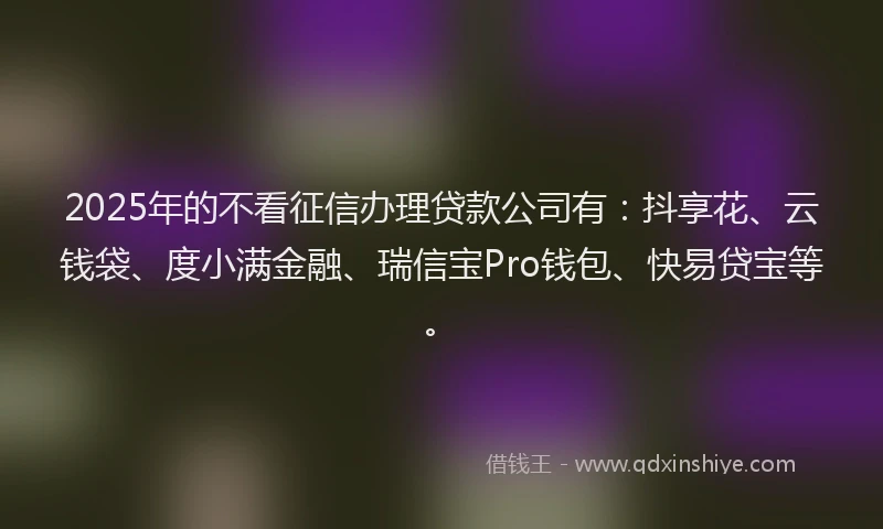 2025年的不看征信办理贷款公司有：抖享花、云钱袋、度小满金融、瑞信宝Pro钱包、快易贷宝等。