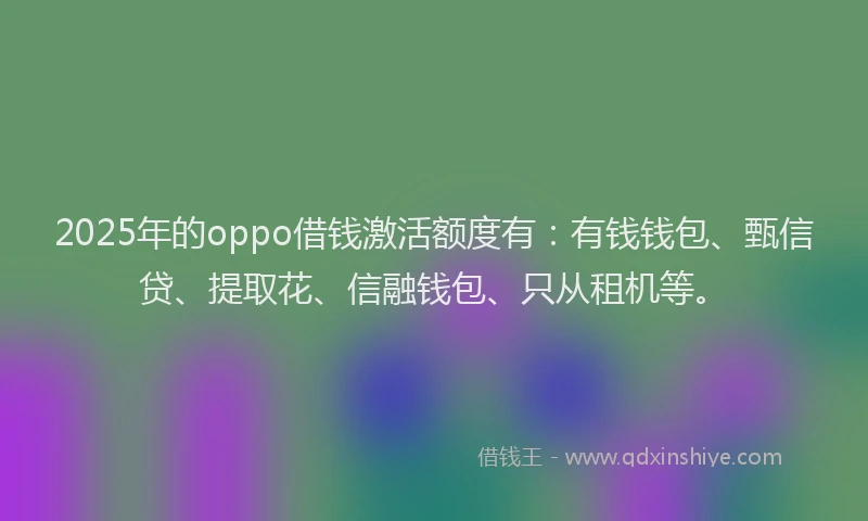 2025年的oppo借钱激活额度有：有钱钱包、甄信贷、提取花、信融钱包、只从租机等。