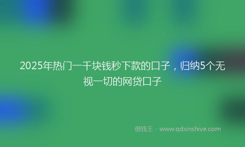 2025年热门一千块钱秒下款的口子，归纳5个无视一切的网贷口子
