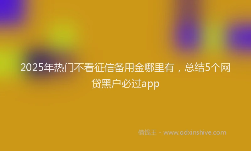 2025年热门不看征信备用金哪里有，总结5个网贷黑户必过app