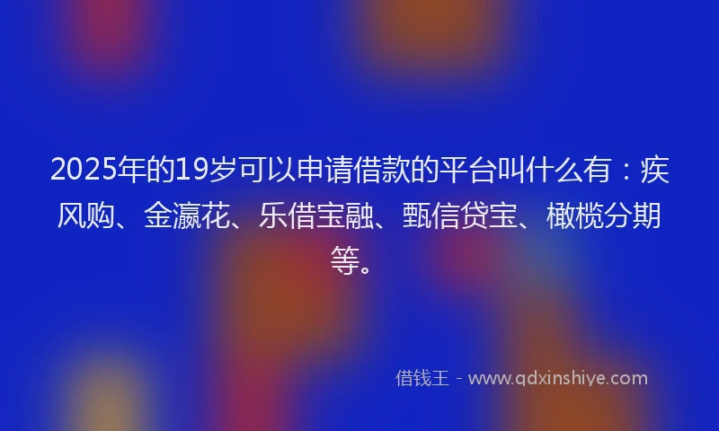 2025年的19岁可以申请借款的平台叫什么有：疾风购、金瀛花、乐借宝融、甄信贷宝、橄榄分期等。