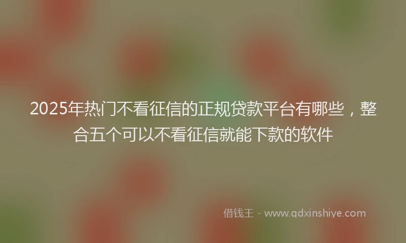 2025年热门不看征信的正规贷款平台有哪些，整合五个可以不看征信就能下款的软件