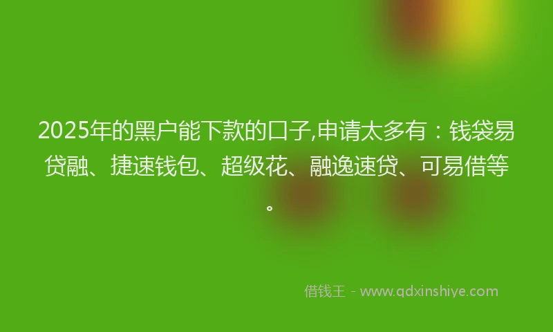 2025年的黑户能下款的口子,申请太多有：钱袋易贷融、捷速钱包、超级花、融逸速贷、可易借等。